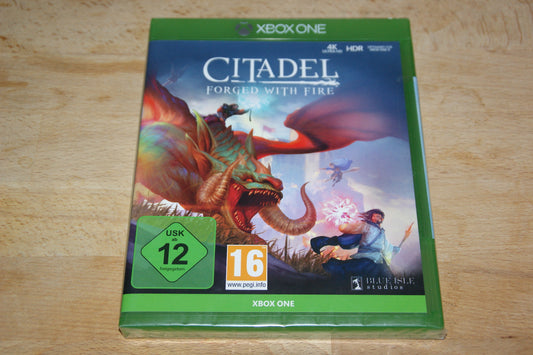 Citadel Forged with Fire